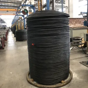 High Carbon Tensile Cold Drawing Annealed Tempered Manufacturing Pickling Hot Treatment Coating Bending Phosphated Steel Wire