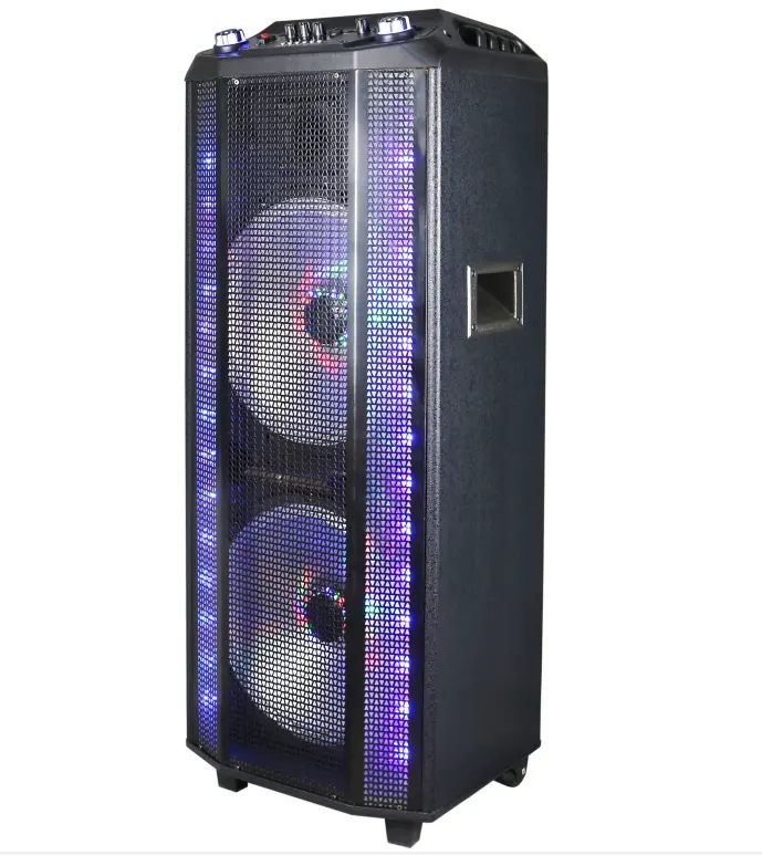 Speaker Troli Aktif Profesional Daya Tinggi 12 Inci Ganda dengan Layar LCD Pemutar DVD