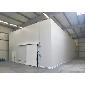 Commercial Factory Cold Storage Freezing Blast Freezer Room For Potato Meat,Fish,Chicken,