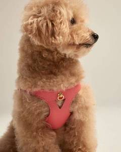 Personalized Pink PU <b>Leather</b> Dog <b>Harness</b> with Comfort Features XS-XL Sizes for Walking Small Dogs - Product Image 5