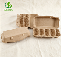 Échantillons Gratuits Sumkoka Vente en Gros Boîtes à Œufs en Papier Biodégradables Recyclables Personnalisées Barquettes à Œufs Boîtes d'Expédition Antichoc pour 10 Œufs