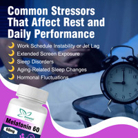 Capsules de mélatonine OEM ODM pour adultes : favorisent un sommeil rapide et sain, complément cérébral, aide au sommeil.