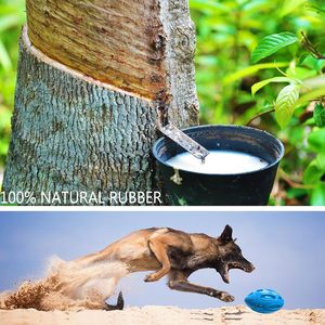 Jouets à mâcher pour chiens en caoutchouc TPR de haute qualité de qualité alimentaire jouets interactifs écologiques et durables pour animaux de compagnie sans danger pour les animaux de compagnie en gros - Product Image 6