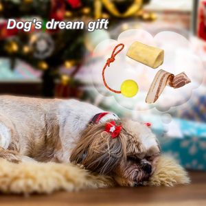 Os à mâcher et balle jouet durables pour chien, non toxiques, résistants aux morsures, pour le nettoyage des dents, le soulagement de l'ennui et le jeu quotidien - Product Image 6