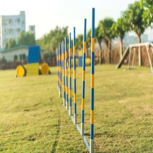 Set de Equipos de Entrenamiento de Agilidad para Perros: Postes de Slalom y Obstáculos de Acero para Perros - Product Image 5