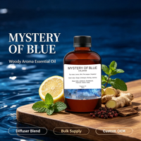 Huiles Essentielles Mystère Bleu B2B – Huile pour Diffuseur Sans Eau, Parfum d'Ambiance Aromatique pour la Maison