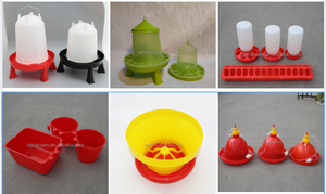 Abreuvoirs et mangeoires de <span class=keywords><strong>poulet</strong></span> de haute qualité et au <span class=keywords><strong>prix</strong></span> le plus bas - Product Image 5