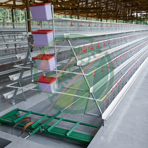 Nuevo Sistema <span class=keywords><strong>de</strong></span> Jaulas Comerciales para Gallinas Ponedoras, Proyectos Avícolas, Jaulas <span class=keywords><strong>de</strong></span> Malla <span class=keywords><strong>de</strong></span> Acero Galvanizado, 96-160 Aves, Recolección Automática <span class=keywords><strong>de</strong></span> Huevos - Product Image 1