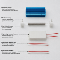 Module d'ozone à sortie fixe refroidi par air 10G/h 80W à double source de gaz avec garantie d'un an pour le traitement de l'eau
