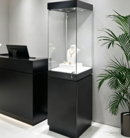 Vitrines d'exposition de musée d'occasion avec éclairage LED, construction bois/métal, pour bijouterie, personnalisables, durables, haute qualité, éclairage LED