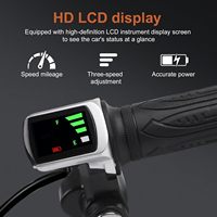 Kit de Controlador Antirrobo para Bicicleta Eléctrica de 15A con Encendido por Llave, Pantalla LCD Integrada, Acelerador Giratorio, 24V/36V/48V, Controlador de Motor de 250W