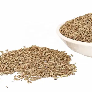 SFG Organic production of healthy and delicious flavor cumin for export to cumin seeds India