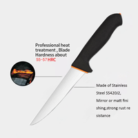 Manche en plastique bicolore 6 "en acier inoxydable écologique Ambidextre moderne multi-usage Couteau de cuisine pour steak et viande maison