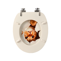 Abattant de toilettes en bois moderne et tendance, style européen standard, avec charnière à fermeture douce pour salle de bain