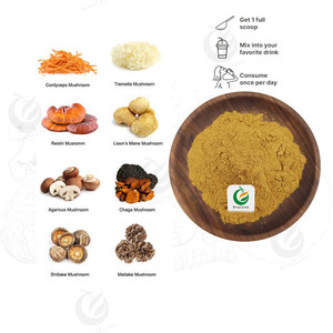 Nhãn hiệu riêng Hữu Cơ hericium erinaceu Chiết Xuất sư tử của bờm nấm chiết xuất sư tử bờm bột - Product Image 3