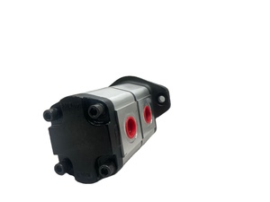 <b>Crane</b> and excavator equipment parts 3319121186 Dual gear pump - Product Image 3