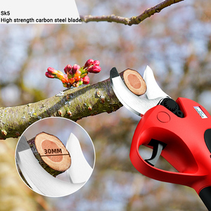 Hot Sel High Endurance Battery Chain <b>Saws</b> Pole Chain <b>Saw</b> <b>Electric</b> Chain <b>Saw</b> Extended Pruning Shears - Product Image 4