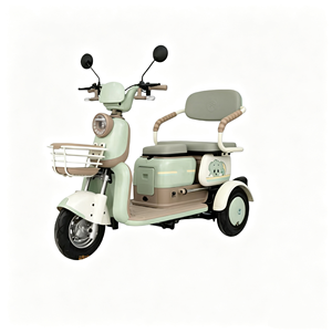 Nuovo Modello di Triciclo Elettrico per Anziani, Scooter Elettrico Familiare 500W, Triciclo Elettrico da <span class=keywords><strong>Donna</strong></span> per il Tempo Libero - Product Image 1