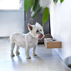 Personalizado <span class=keywords><strong>Dog</strong></span> Bowl Stand Elevado <span class=keywords><strong>Dog</strong></span> Feeding Stands Double Bowl Pet Alimentador Levantado De Madeira <span class=keywords><strong>Dog</strong></span> Shelf - Product Image 5