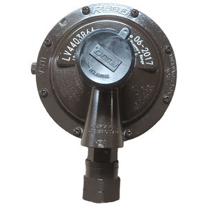 Válvula Reguladora Neumática para Tuberías REGO LV4403B66 DN20, Regulador de <span class=keywords><strong>Gas</strong></span> LPG de Baja Presión para Quemadores Industriales, Flujo de 21 kg/h - Product Image 1