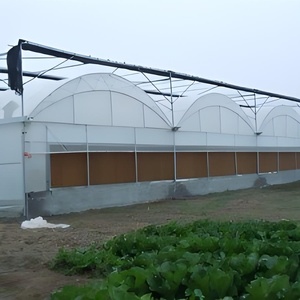 Bán buôn Thông Minh Thương mại Nhà kính cho rau phát triển ổn định phim màu xanh lá cây nhà với chi phí thấp nhựa khung kim loại - Product Image 5