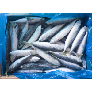 <span class=keywords><strong>Maquereau</strong></span> du Pacifique Congelé, Poisson Congelé, <span class=keywords><strong>Maquereau</strong></span> 400-600g, Vente en Gros de Fruits de Mer - Product Image 2