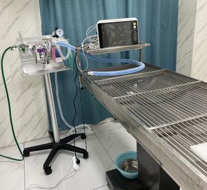 Máquina de anestesia <span class=keywords><strong>veterinaria</strong></span> de alta gama MT Medical para animales grandes para zoológico - Product Image 6