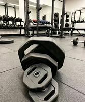 Plaque de protection en PVC et TPU 20 kg avec logo, antidérapante, durable, écologique, pour haltères de fitness commerciaux et entraînement de force – Meilleures ventes