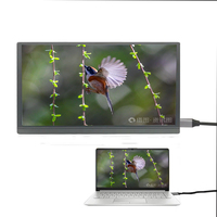 15,6-Zoll 1080P FHD IPS-Display mit Zusatzbildschirm für Laptop, Keine Treiber Erforderlich, Plug-and-Play
