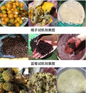 Brand New Automatic Fruit Pitting and Pulping <b>Machine</b> Fruit <b>Juice</b> Making <b>Machine</b> with High Quality - Product Image 6