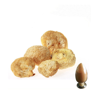 Extracto <span class=keywords><strong>de</strong></span> Hongo Melena <span class=keywords><strong>de</strong></span> León (Hericium Erinaceus) en Polvo, Grado Alimenticio, Rico en Polisacáridos - Product Image 1