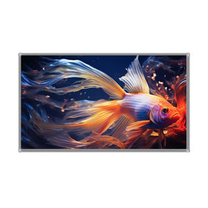 Écran LCD d'origine QT156WHM-N42 220 Nits, 1366×768, TN de qualité A, 60 Hz, pour appareils électroniques grand public - Product Image 2