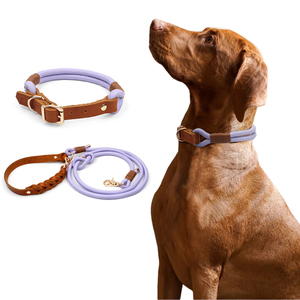 Conjunto de <span class=keywords><strong>collar</strong></span> y correa de cuero para perro, conjunto de <span class=keywords><strong>collar</strong></span> de entrenamiento moderno ajustable de Color plomo personalizado trenzado a mano duradero de lujo para mascotas - Product Image 2