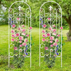 Treillis pour plantes en <span class=keywords><strong>fer</strong></span> de haute qualité, écologique, ornement de jardin en métal <span class=keywords><strong>blanc</strong></span>, arche en métal, portail de jardin, clôture - Product Image 1
