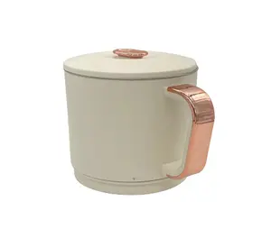 Seyahat 500ML silikon elektrikli su ısıtıcısı katlanır çay ve kahve su ısıtıcısı ile tencere ceket su ısıtıcısı CE CB sertifikası ile