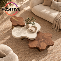 Ensemble de tables basses en forme de nuage, design irrégulier, style moderne du milieu du siècle, mobilier minimaliste pour salon, OEM ODM, vente en gros
