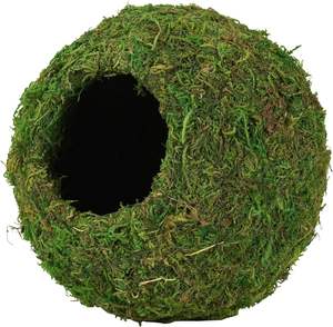 Échantillon gratuit Cachette de coin de mousse pour <span class=keywords><strong>reptiles</strong></span> et amphibiens des bois Cachette respirante pour petits animaux - Product Image 2