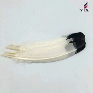 <span class=keywords><strong>Piume</strong></span> di Tacchino Bianche all'Ingrosso <span class=keywords><strong>con</strong></span> Punta Nera, <span class=keywords><strong>Piume</strong></span> di Fagiano per Decorazioni e Fai-da-Te - Product Image 2
