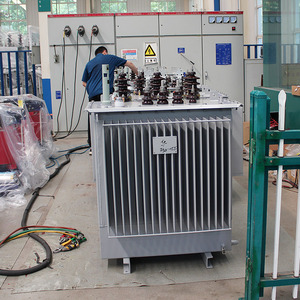 Transformateur de distribution de puissance immergé dans l'huile S20 Transformer Factory 250 kVA, niveau d'efficacité énergétique 2, noyau tout en cuivre - Product Image 2