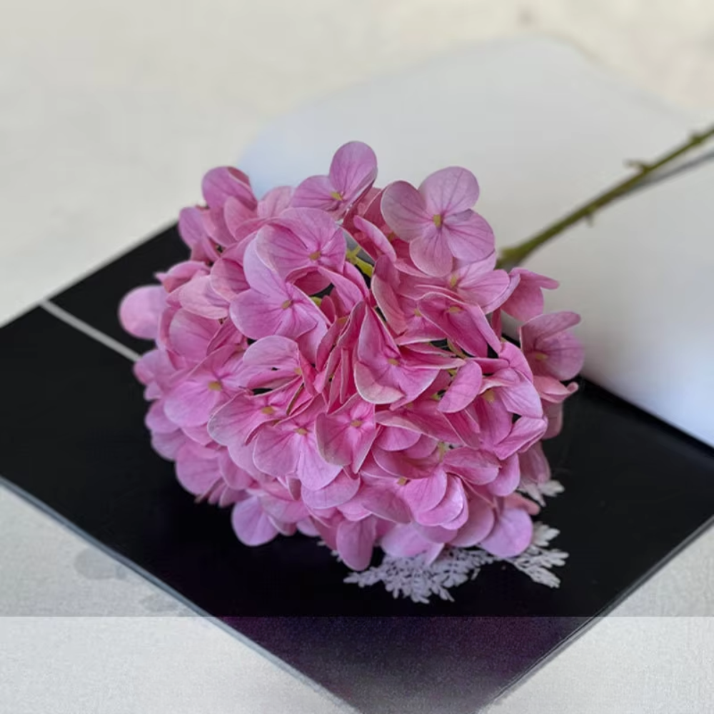 [2] ไฮเดรนเยียสีชมพูเข้มแบบกระจาย2