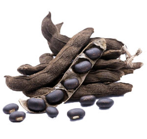 ムクナプルリエンス種子エキスムクナプルリエンスエキス粉末 - Product Image 4