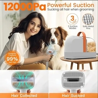 12000Pa Kit de toilettage pour animaux de compagnie Aspirateur de cheveux Aspirateur Nettoyeur Ensemble Chien Chat Peigne Cheveux Aspirateur Tondeuse Tondeuse Nettoyage pour animaux de compagnie Produits de toilettage