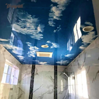 Film décoratif MSD PVC brillant pour plafond tendu, film MSD PVC pour faux plafond intérieur, plafond tendu bleu ciel brillant