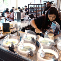 Machine à glaces commerciale, fabricant de glaces dures, 6 bacs, garantie 2 ans, machines à glaces au chocolat
