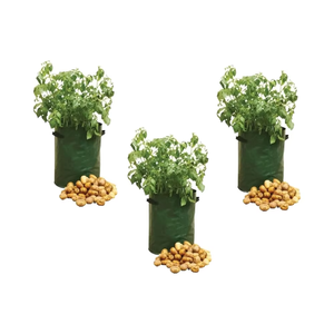 Set di 3 Sacchi per Coltivazione Patate in Plastica da 10 Galloni con Manici Laterali per Pomodori, Fragole e Altri Giardinaggio - Product Image 1