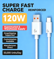 Câble USB-C universel personnalisé, câble de charge rapide universel pour téléphone portable