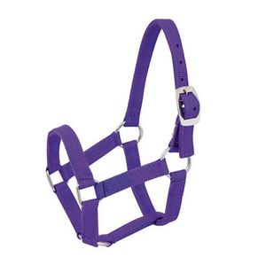 Adjustable Nylon Horse Halter For Secure Fit During Riding Training And Stable Operations - Product Image 5