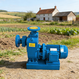 <span class=keywords><strong>Pompe</strong></span> centrifuge à double aspiration à corps divisé haute performance OEM, auto-amorçante, <span class=keywords><strong>pour</strong></span> le transfert de liquides chimiques - Product Image 1