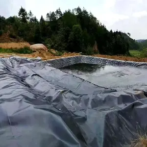 Waterproof Impervious HDPE Geomembrane with High Quality Biodigester Liners Geomembrane