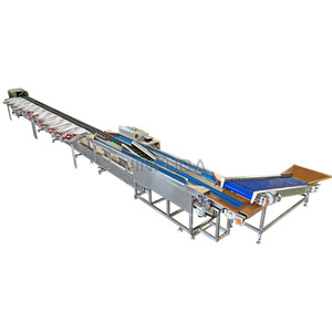 Máquina clasificadora de patatas, clasificadora de limones, arándanos, <span class=keywords><strong>ajo</strong></span>, dátiles y frutas, máquina de lavado y clasificación - Product Image 3